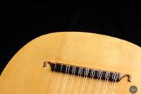 David Rubio - 1972 Lute