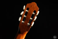 Dieter Hopf - 1980er Artist