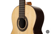 Dieter Müller - 2022 Doubletop Spruce 63 cm