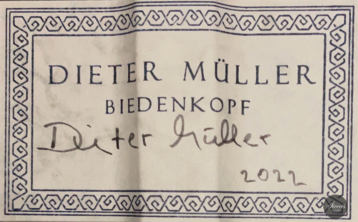 Dieter Müller - 2022 Doubletop Spruce 63 cm