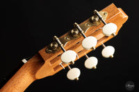 Dieter Müller - 2022 Doubletop Spruce 63 cm