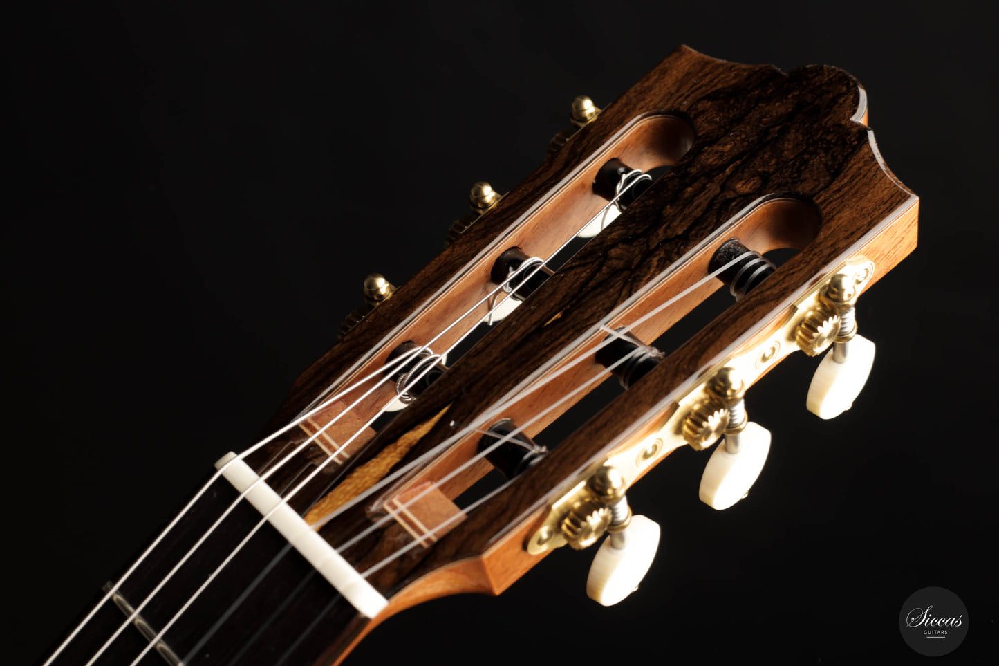 Dieter Müller - 2022 Doubletop Spruce 63 cm