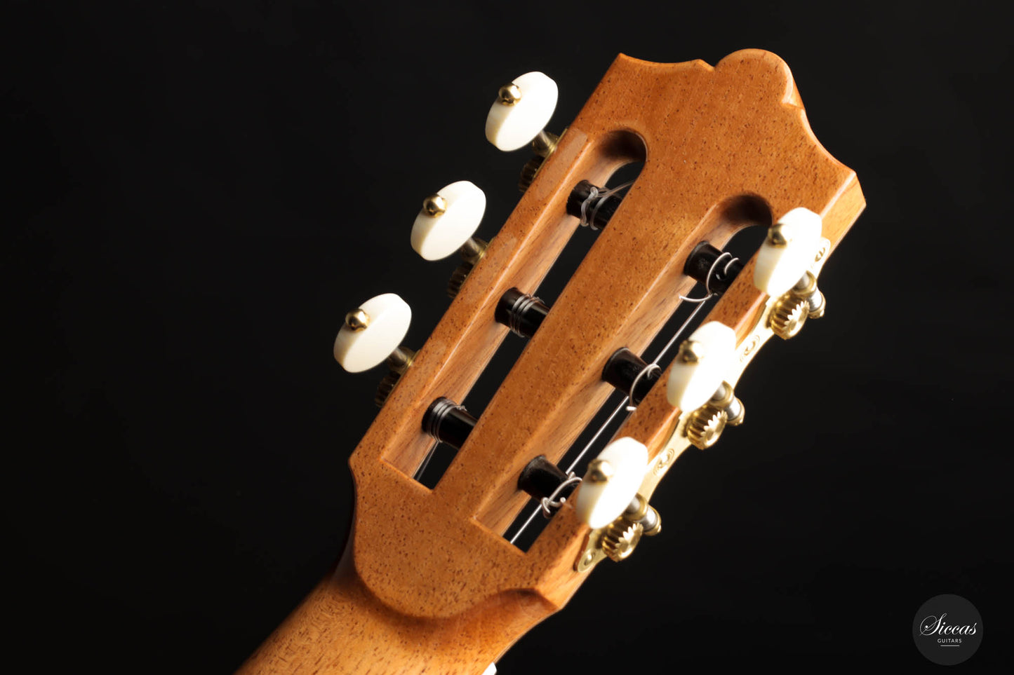 Dieter Müller - 2022 Doubletop Spruce 63 cm