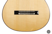 Dieter Müller - 2022 Doubletop 10-string
