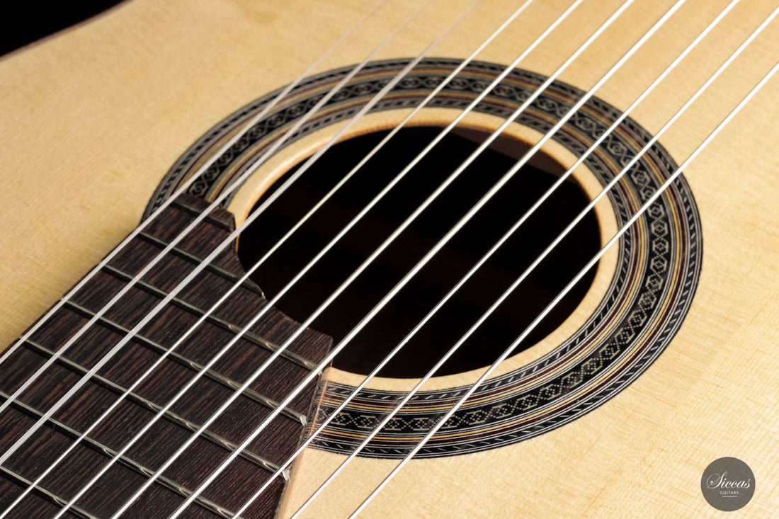 Dieter Müller - 2022 Doubletop 10-string