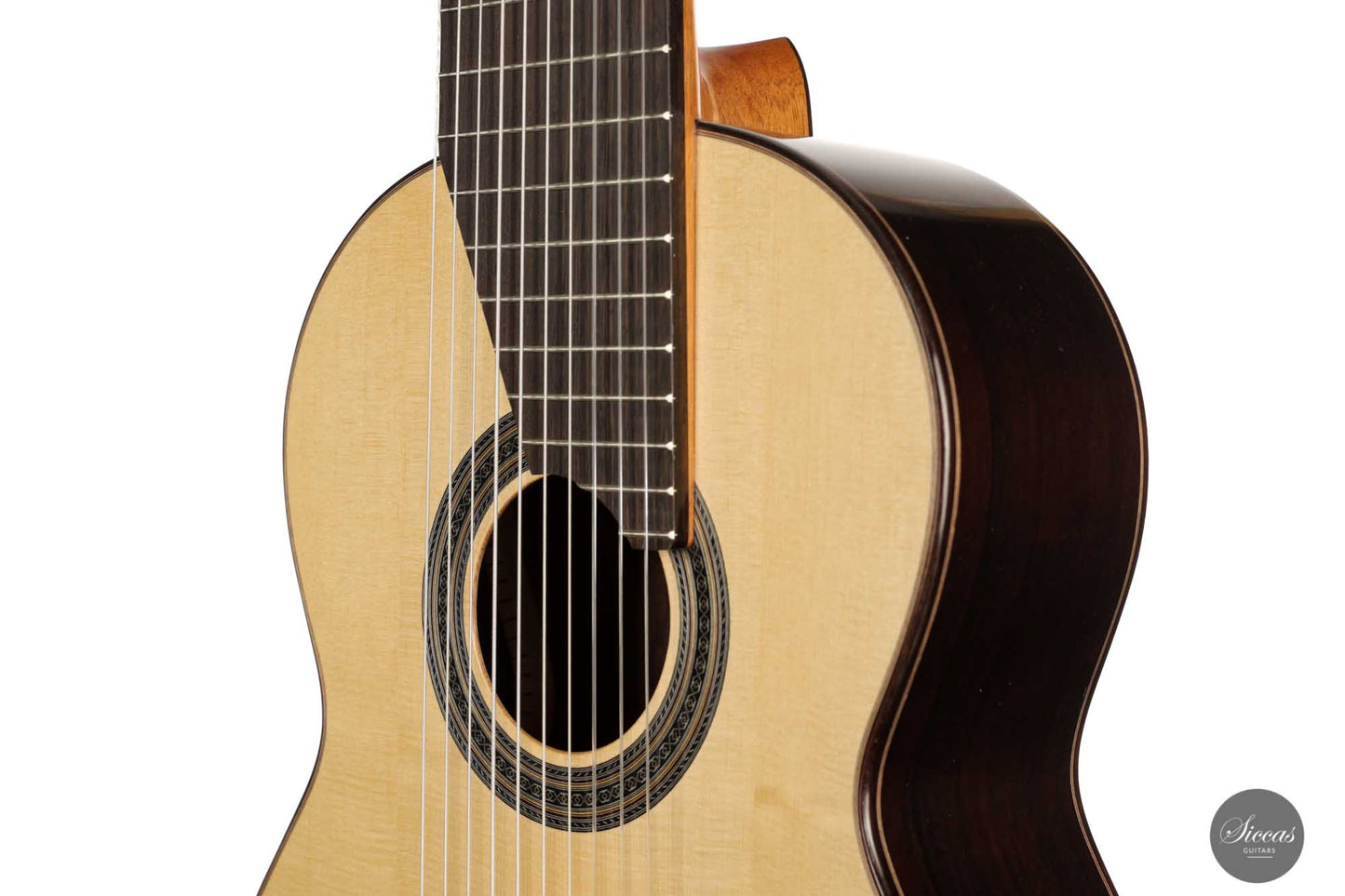 Dieter Müller - 2022 Doubletop 10-string