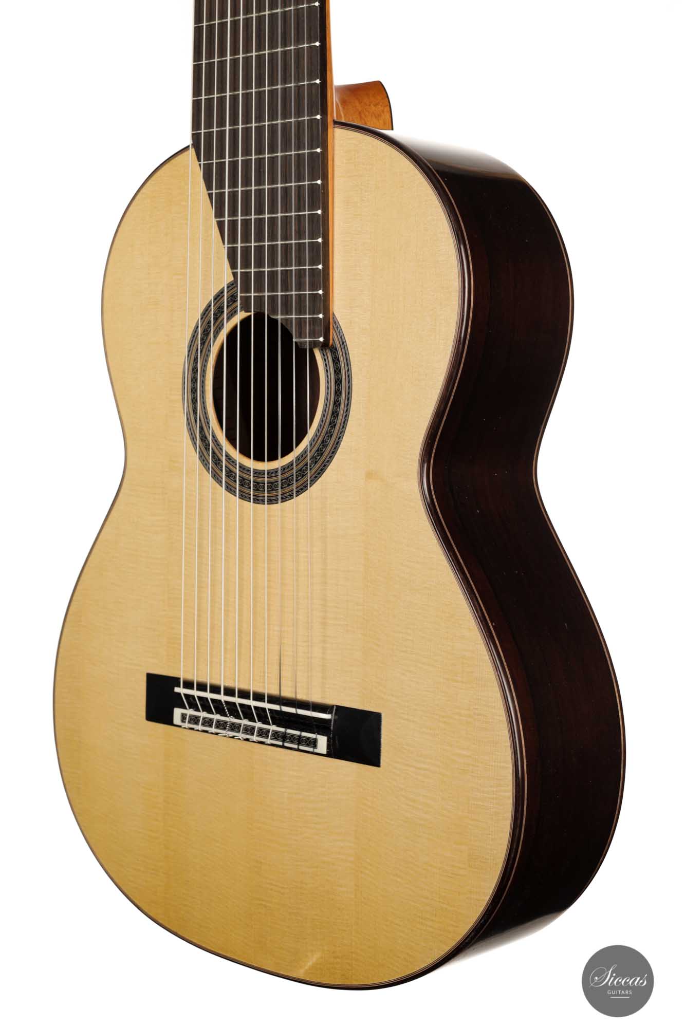 Dieter Müller - 2022 Doubletop 10-string