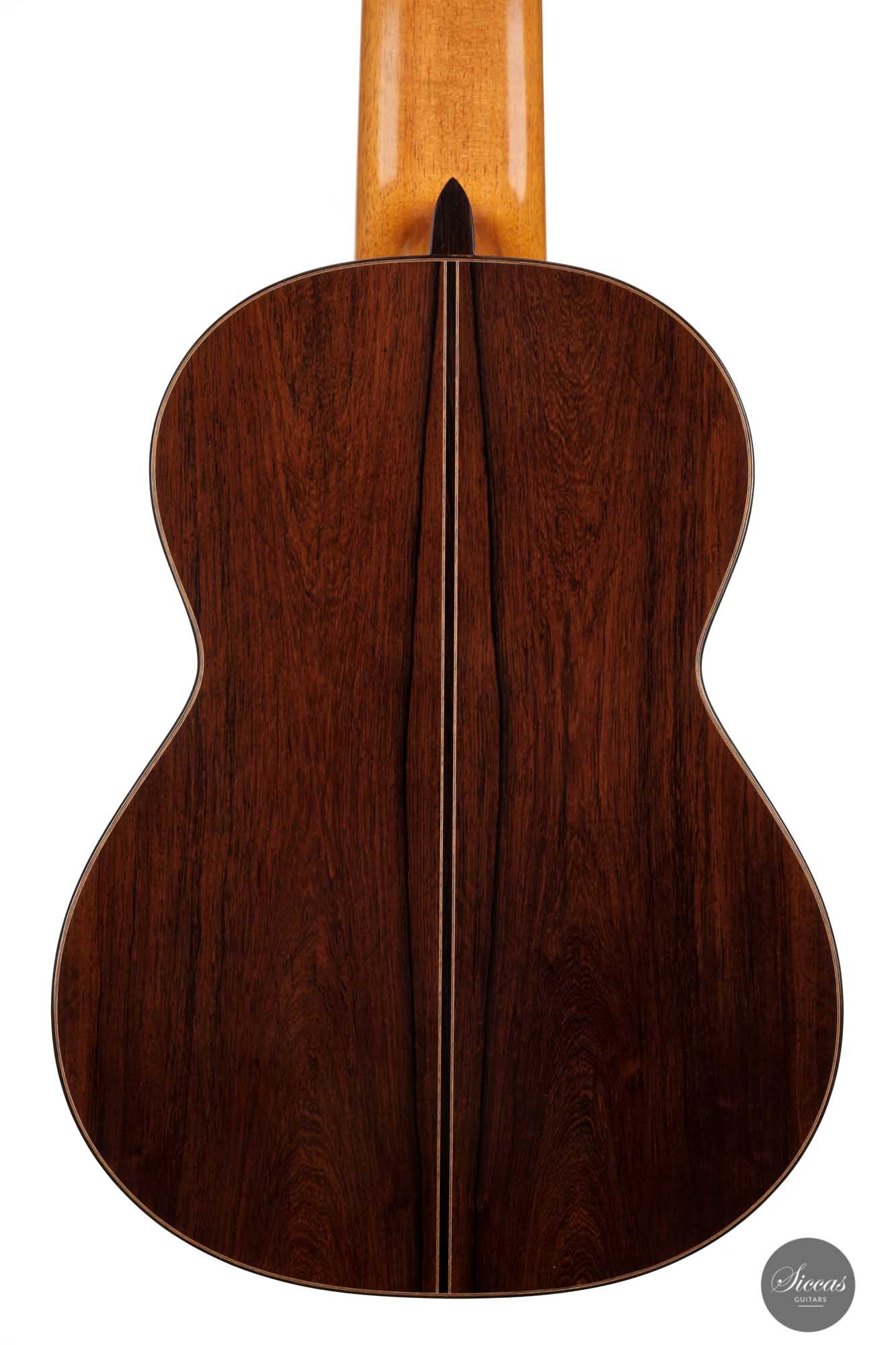Dieter Müller - 2022 Doubletop 10-string