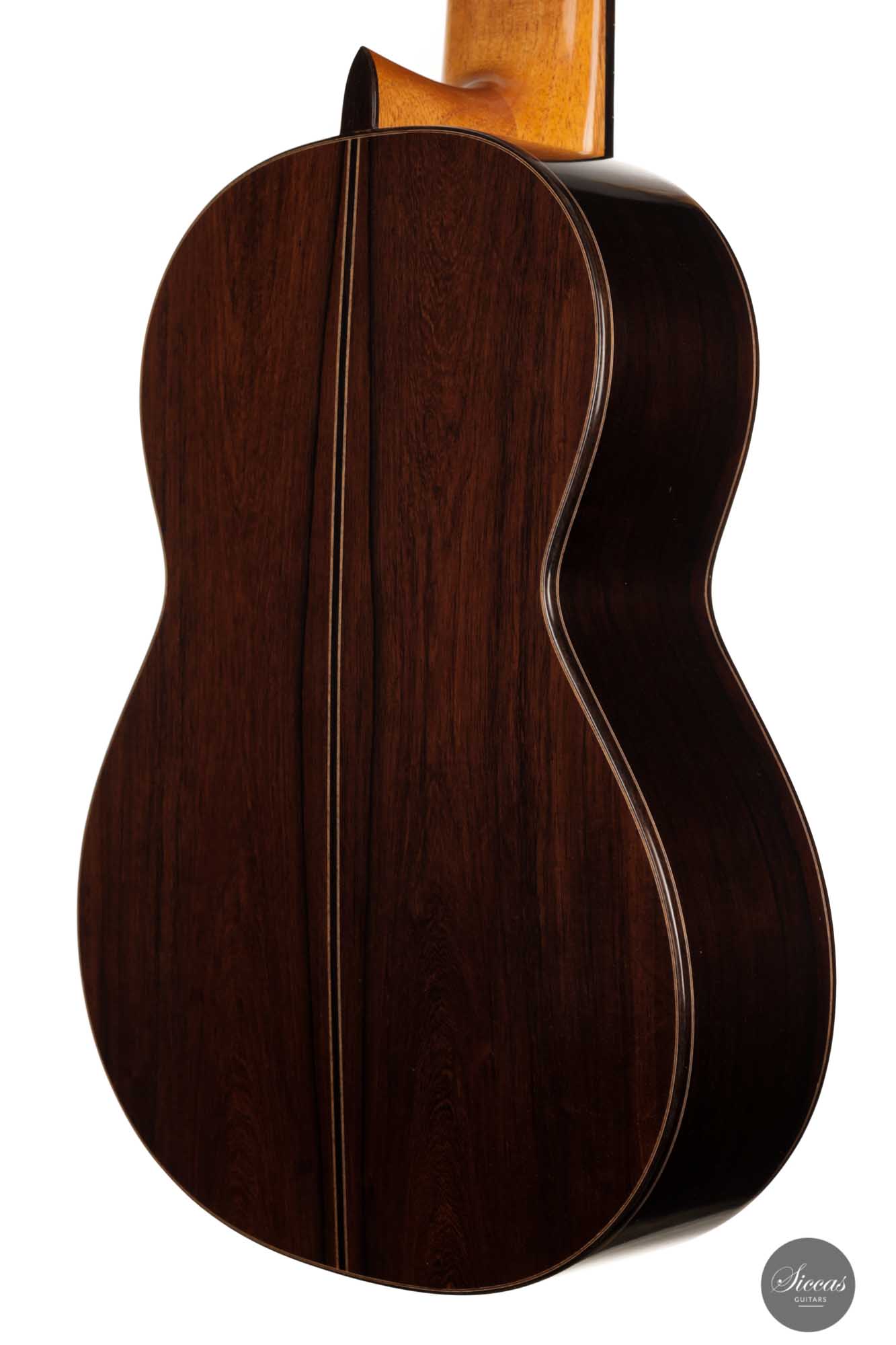Dieter Müller - 2022 Doubletop 10-string