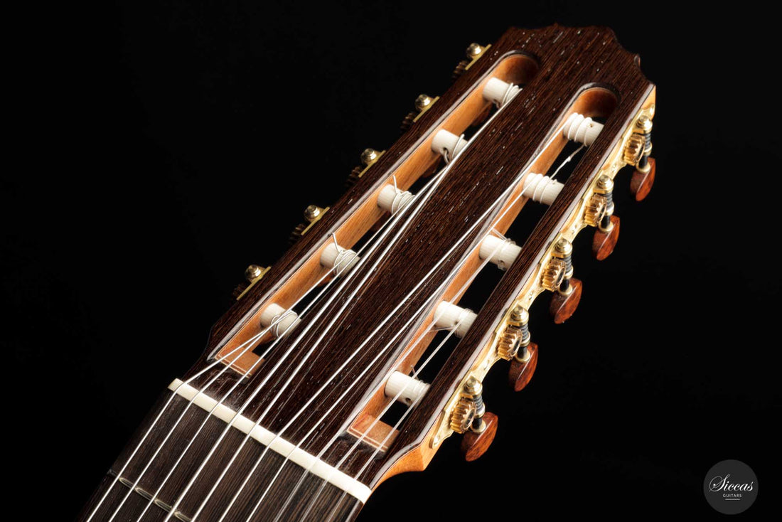 Dieter Müller - 2022 Doubletop 10-string