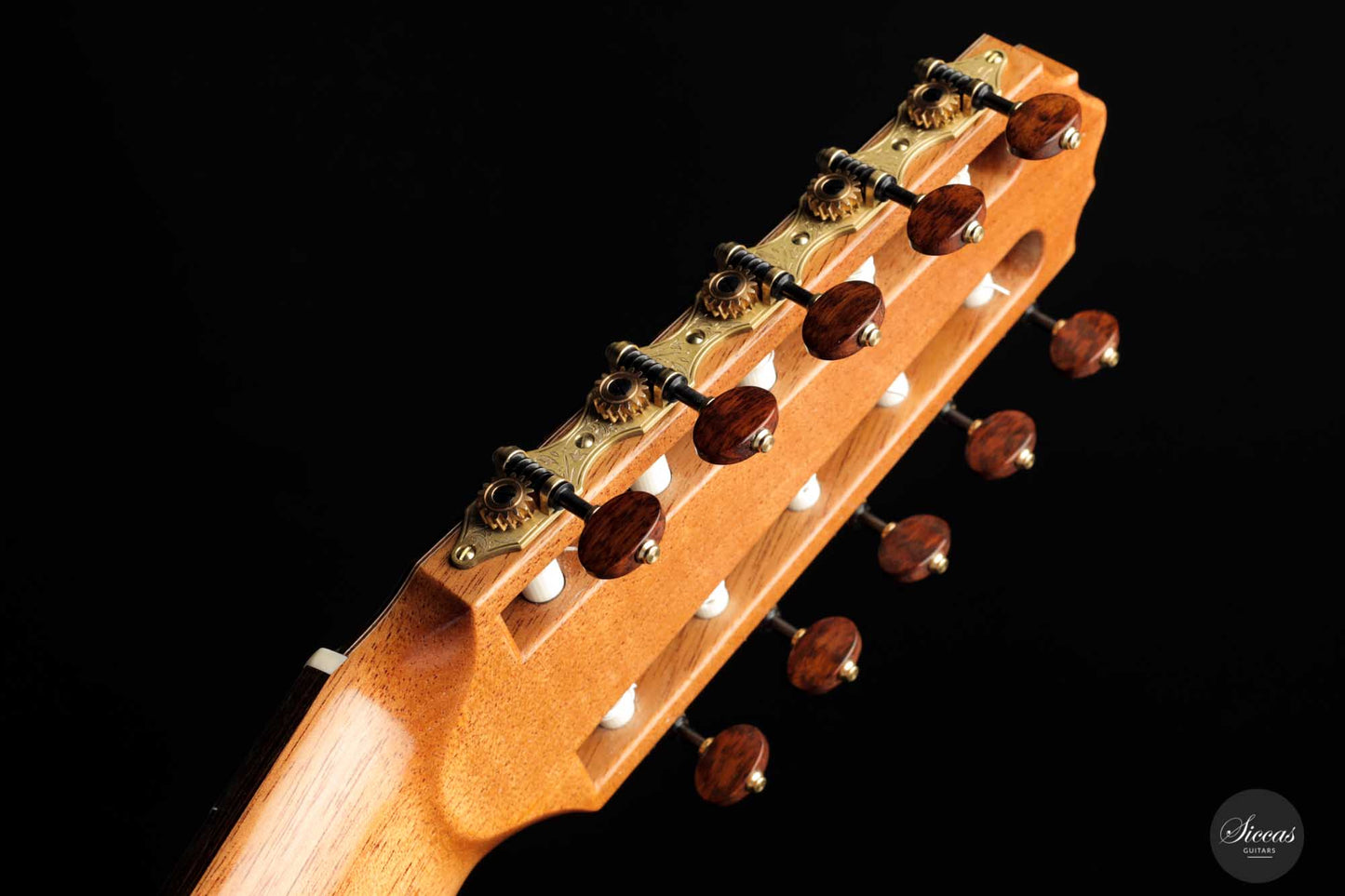 Dieter Müller - 2022 Doubletop 10-string