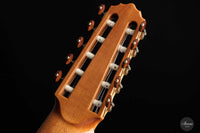 Dieter Müller - 2022 Doubletop 10-string