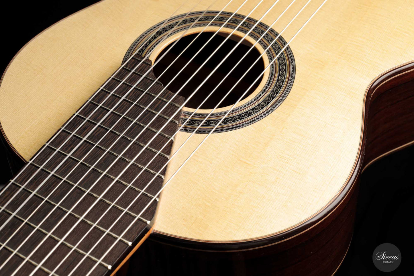 Dieter Müller - 2022 Doubletop 10-string