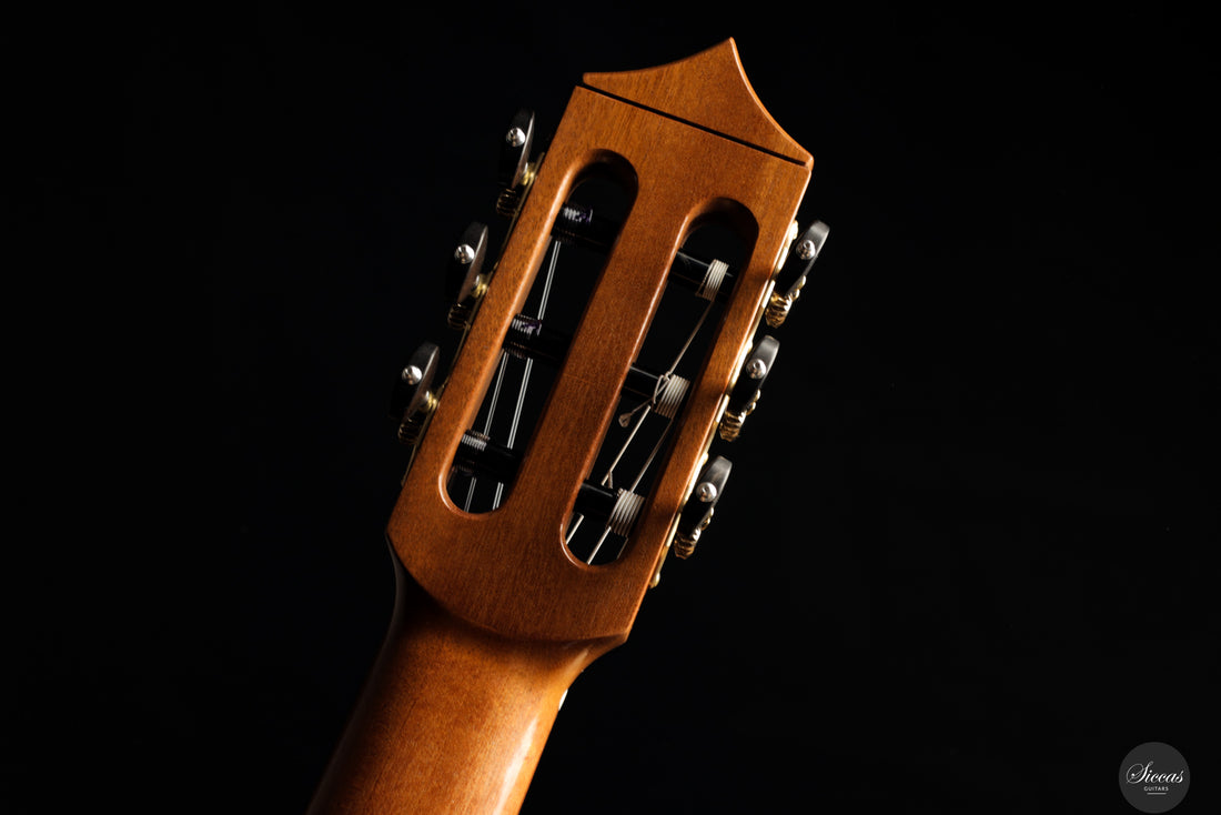 Erez Matzrafi - 2026 Thucea