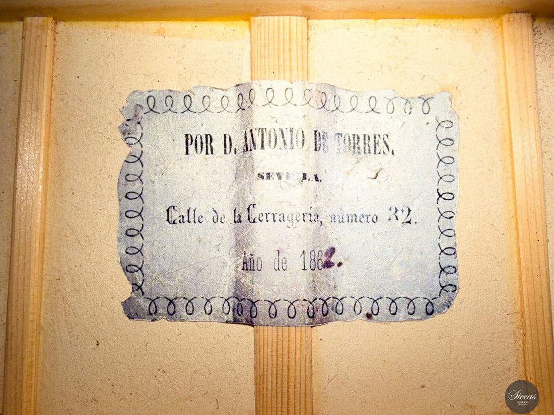 Fabio Zontini - 2023 No.299 Papier Maché