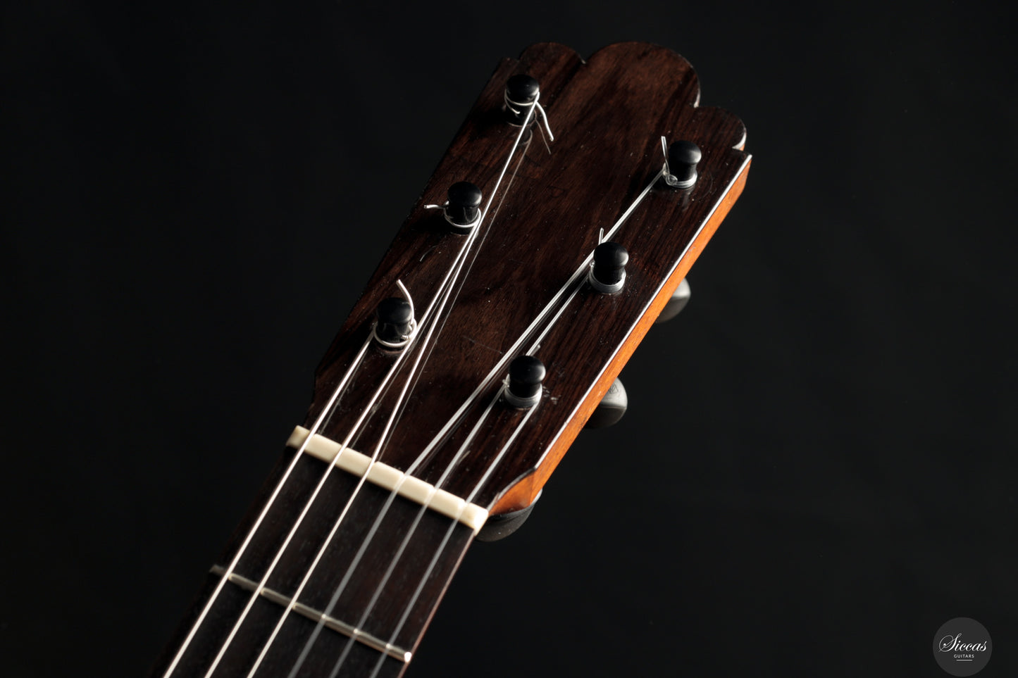 Fabio Zontini - 2023 No.299 Papier Maché