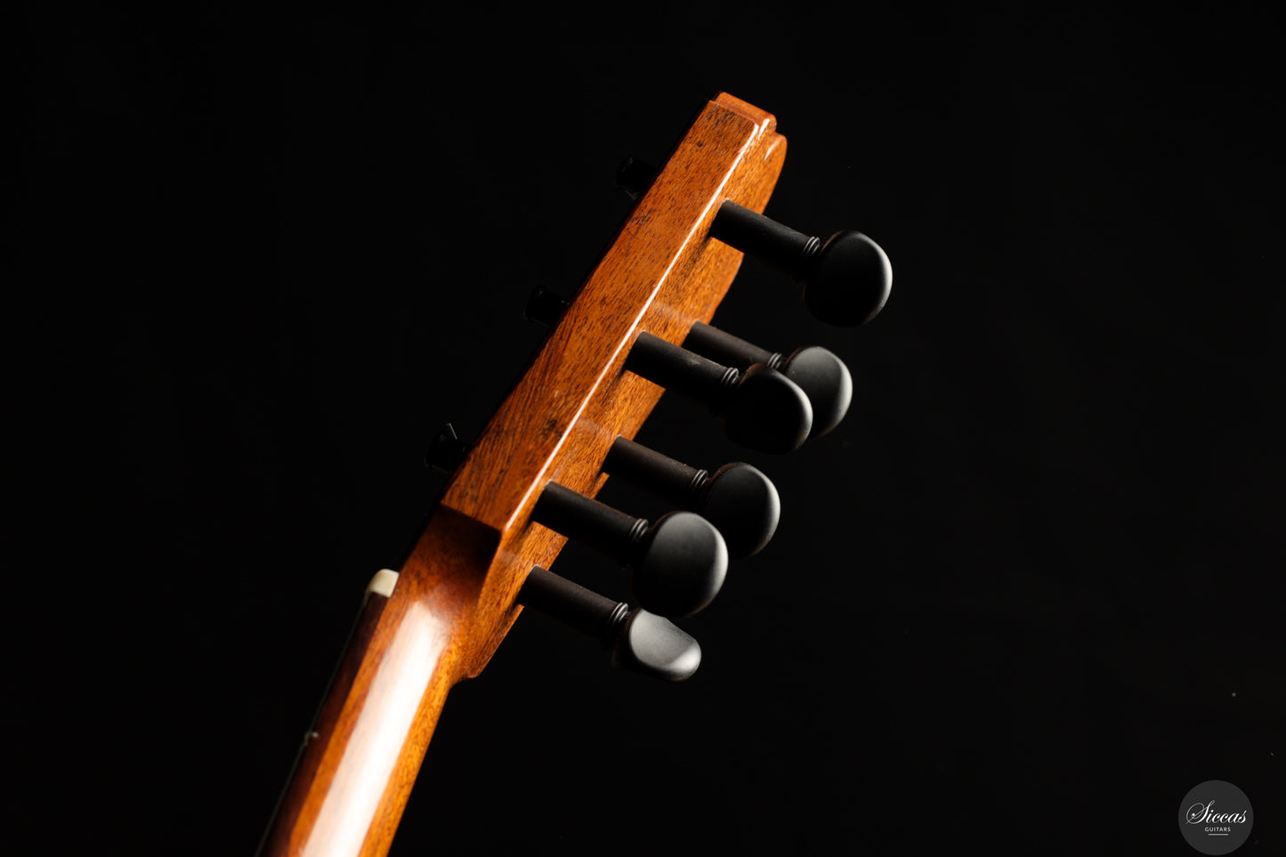 Fabio Zontini - 2023 No.299 Papier Maché