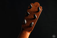 Fabio Zontini - 2023 No.299 Papier Maché