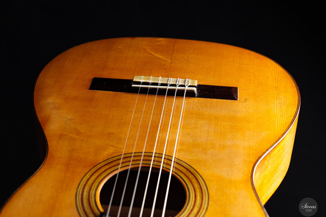 Fabio Zontini - 2023 No.299 Papier Maché