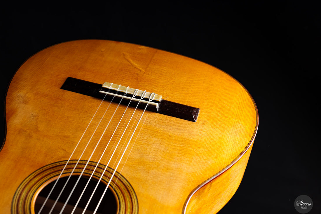 Fabio Zontini - 2023 No.299 Papier Maché