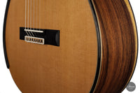 Fernando Mazza – 2021 Special REG Edition