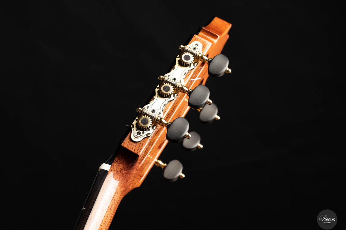 Fernando Mazza - 2024 Doubletop