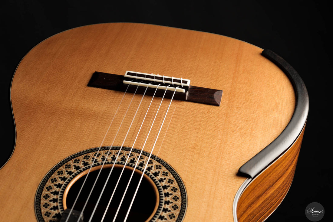 Fernando Mazza - 2024 Doubletop