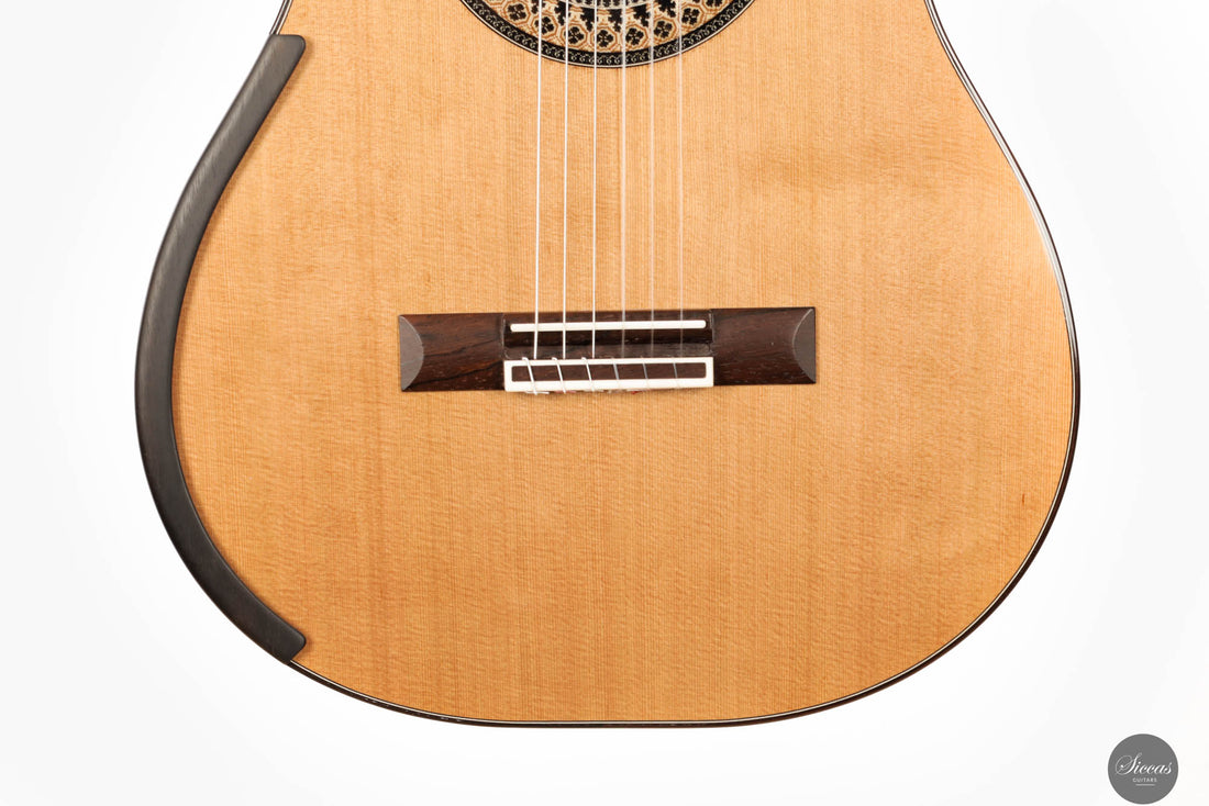 Fernando Mazza - 2024 Doubletop