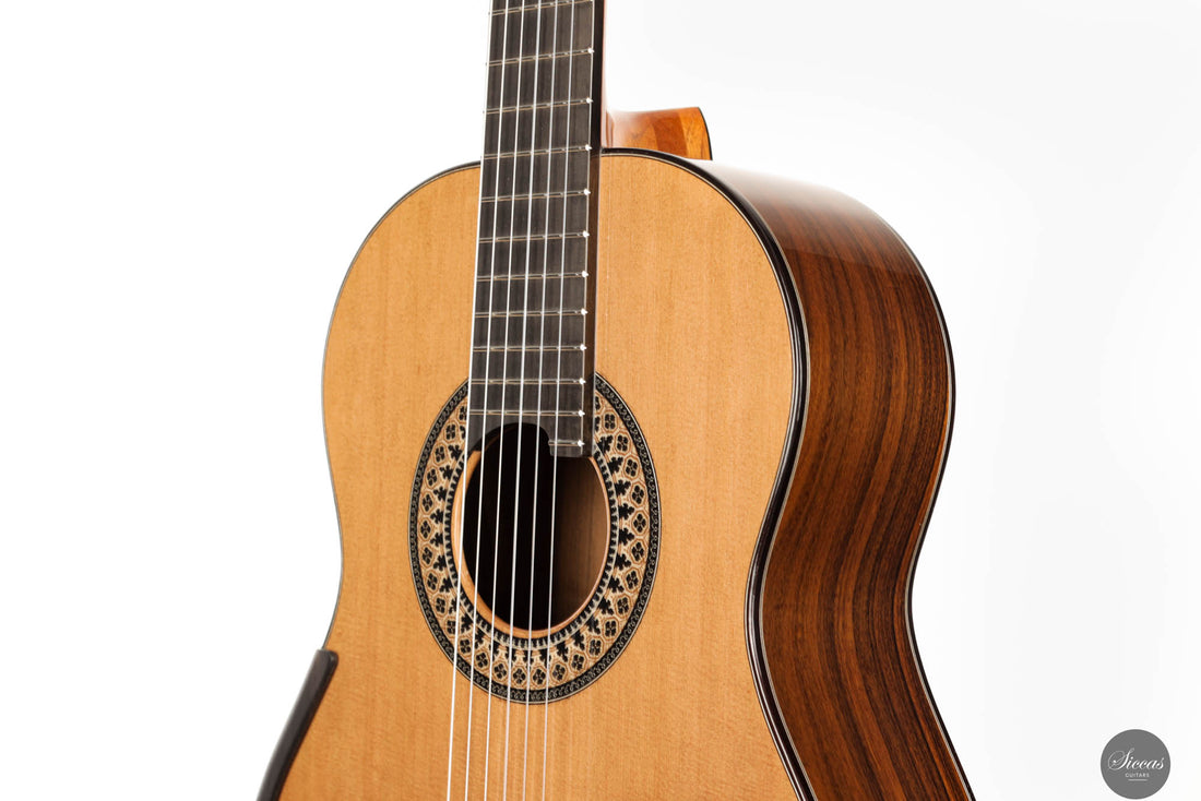 Fernando Mazza - 2024 Doubletop
