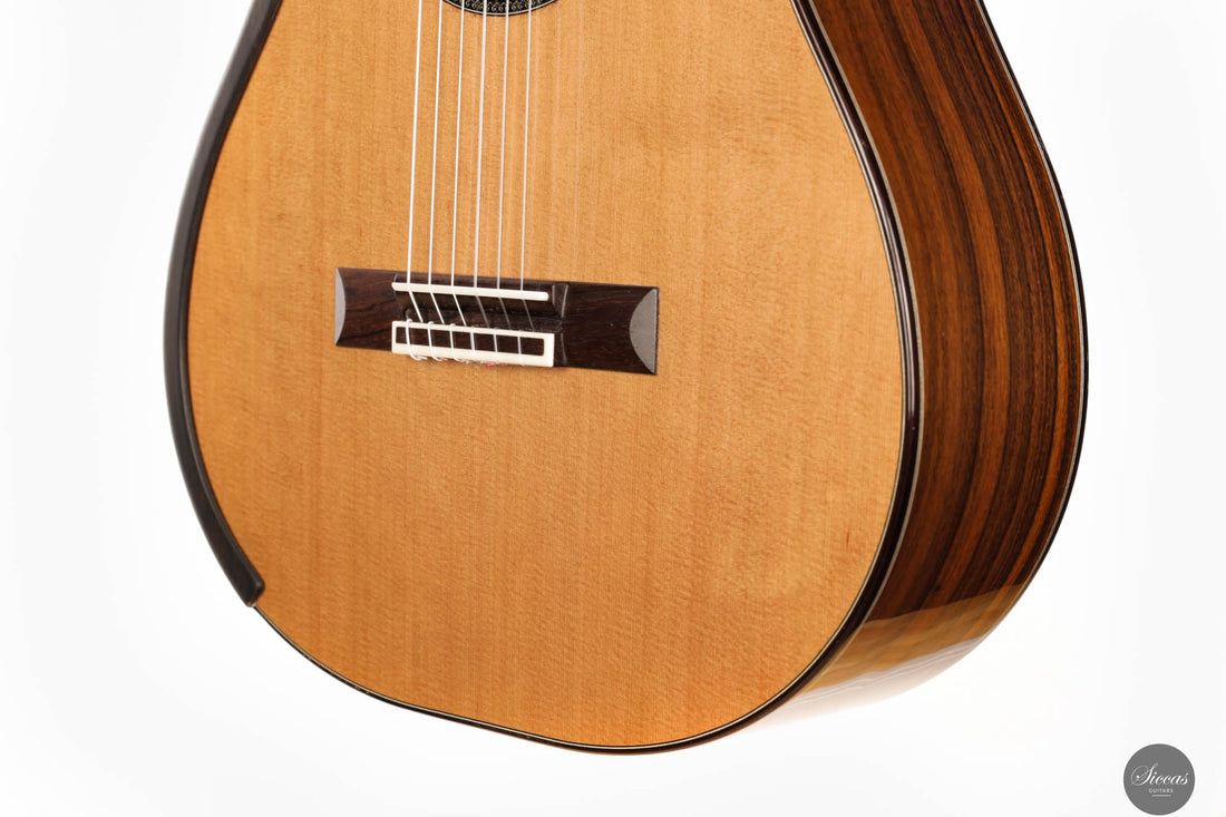 Fernando Mazza - 2024 Doubletop