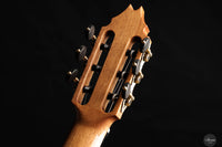 Fernando Mazza - 2024 REG 2024 Limited Edition Lattice
