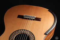Fernando Mazza - 2024 REG 2024 Limited Edition Lattice