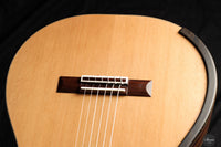 Fernando Mazza - 2024 REG 2024 Limited Edition Lattice