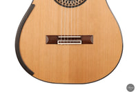 Fernando Mazza - 2024 REG 2024 Limited Edition Lattice