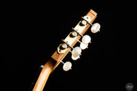 Francesco de Gregorio - 2024 No. 110 REG 2024 Limited Edition