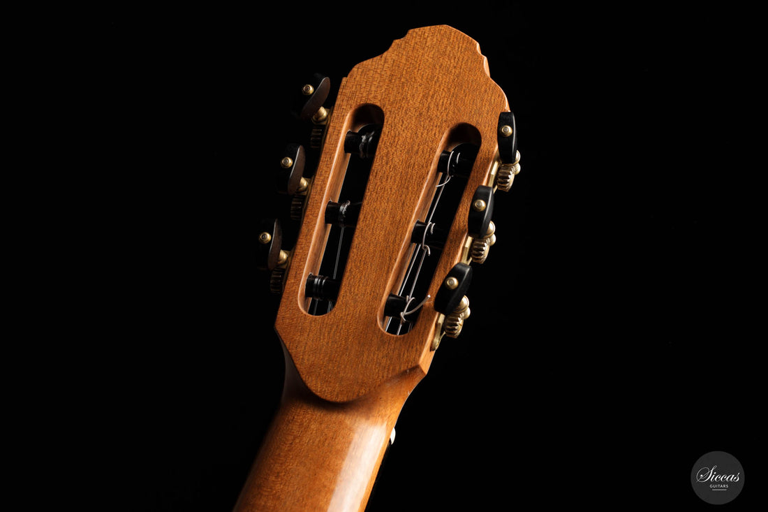 Francois Regis Leonard - 2023 Spruce 64 cm