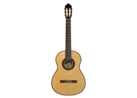 Roy Fankhänel – 2013 Special Edition