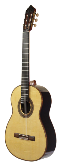 Roy Fankhänel – 2013 Special Edition