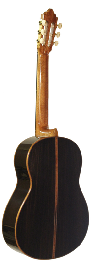 Roy Fankhänel – 2013 Special Edition