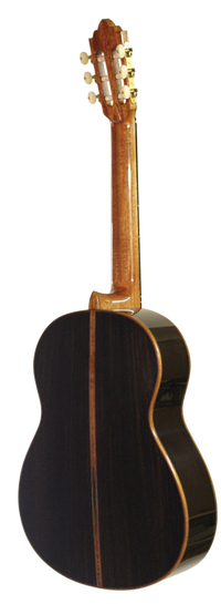Roy Fankhänel – 2013 Special Edition