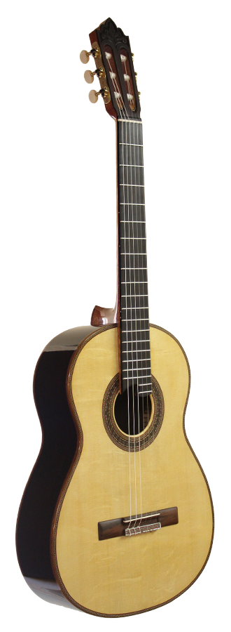 Roy Fankhänel – 2013 Special Edition