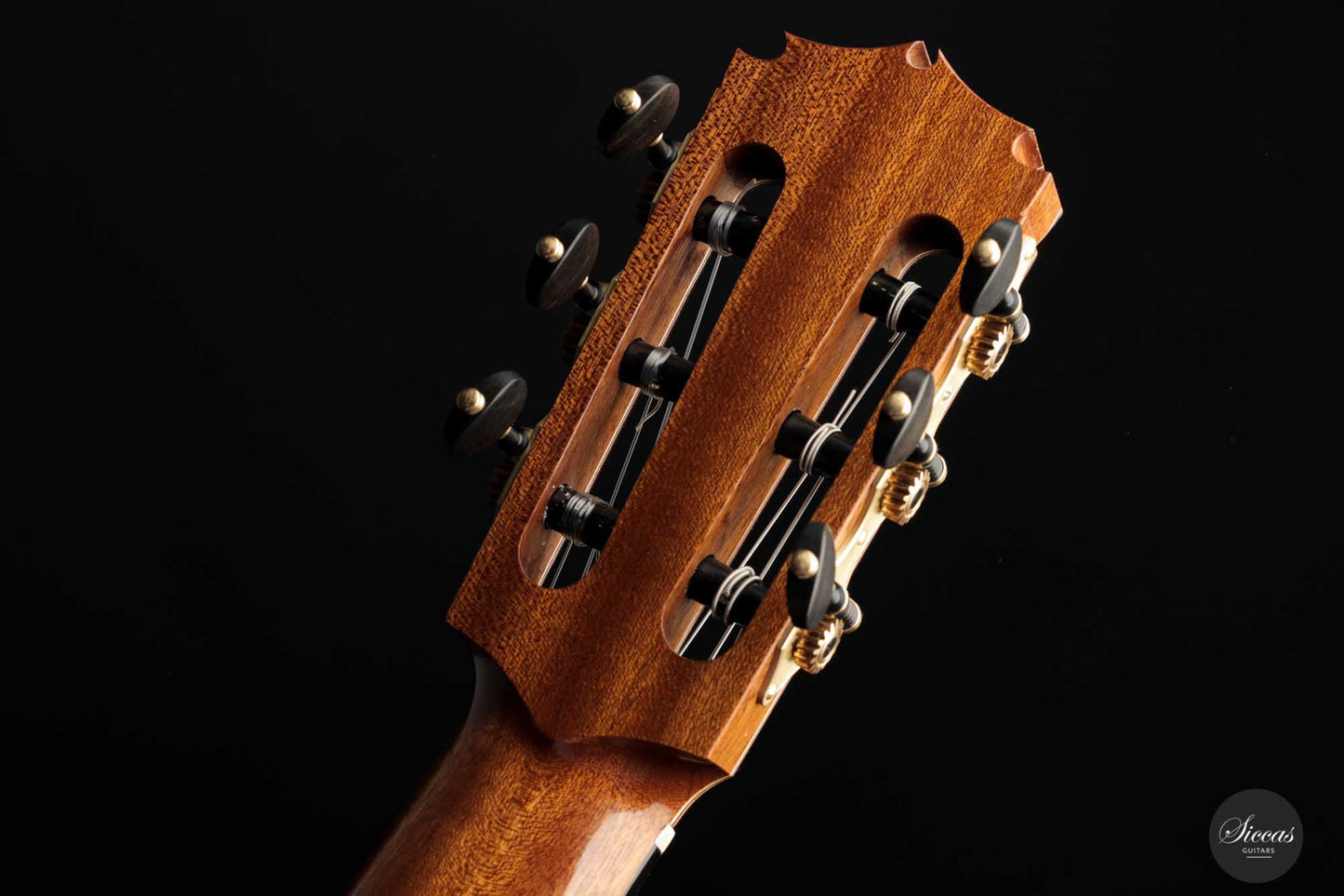 Friederike Linscheid - 2022 Spruce No. 55 64 cm