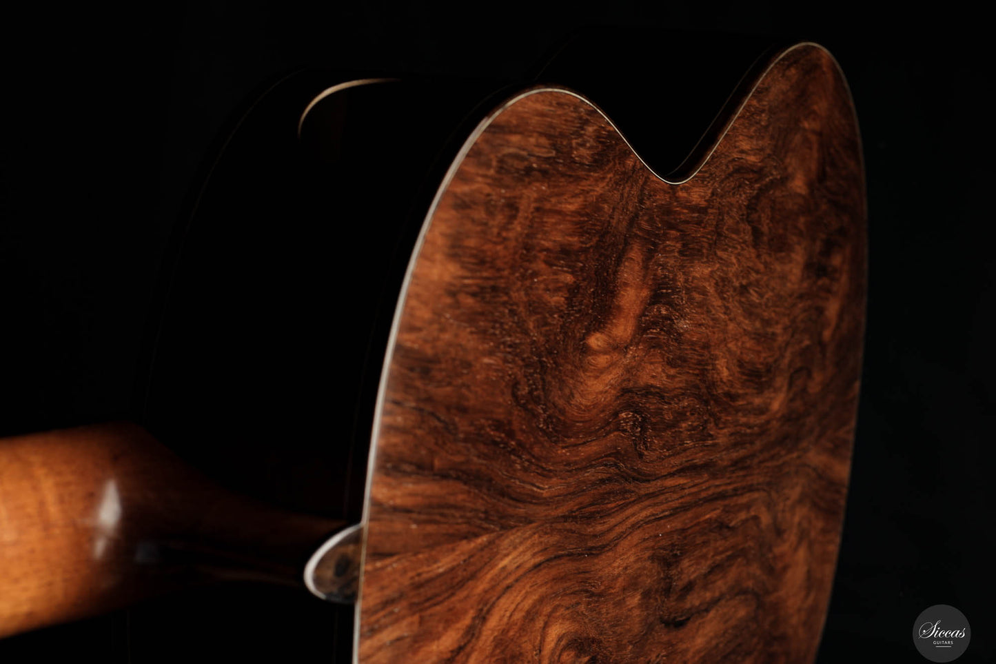Giacomo Guadagna - 2024 REG 2024 "La Venere Concerto Limited Edition"