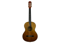 Hermann Hauser ® I - 1913 ex Miguel Llobet