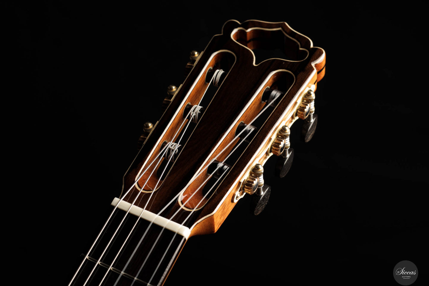 Armin Hanika - HE Torres Spruce