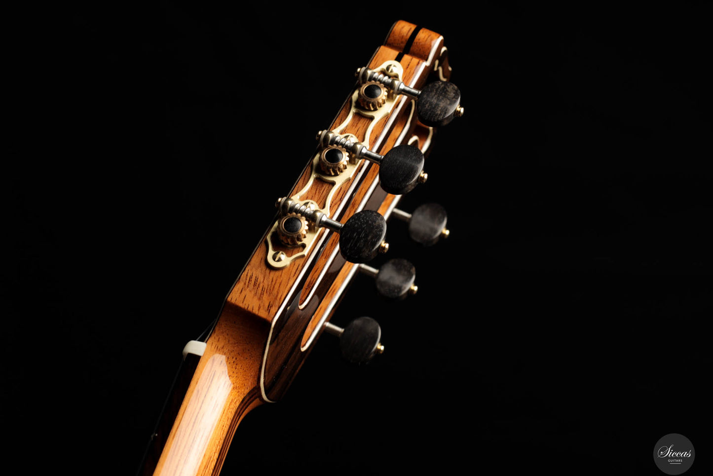 Armin Hanika - HE Torres Spruce