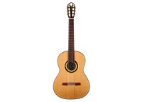 Armin Hanika - HE Custom Doubletop