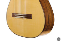 Heikki Rousu - 2025 No. 486 10-string