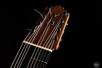 Heikki Rousu - 2025 No. 486 10-string