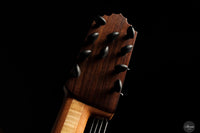 Heikki Rousu - 2025 No. 486 10-string